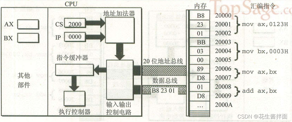 在这里插入图片描述