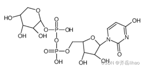 UDP-阿拉伯糖，15839-78-8，UDP-L-Arabinose，阿拉伯糖偶联核苷酸