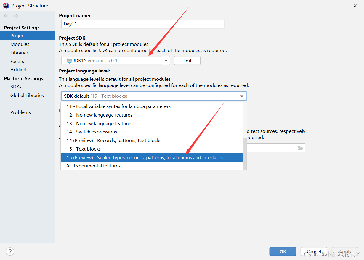 Java Instanceof enable preview java-instanceof-enable-preview