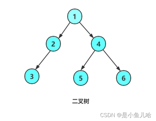 《Java数据结构》这些树和二叉树的性质你还记得吗？