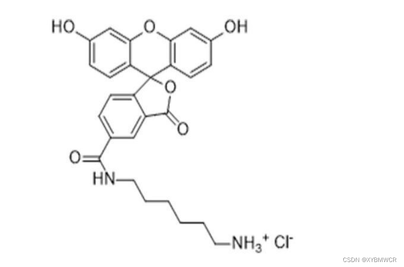 羧基荧光素-氨基.盐酸盐，FAM-NH2.HCl，138589-19-2