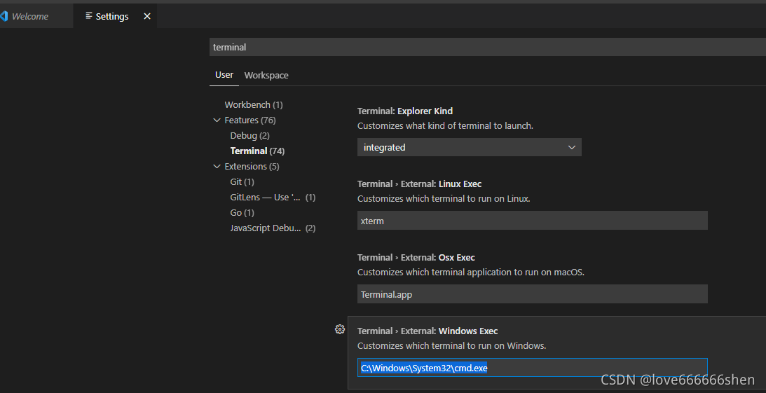 vscode terminal设置