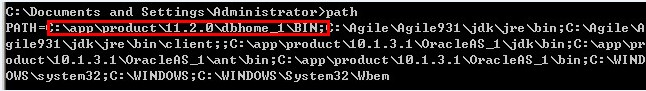 oracle cmd窗口输入sqlplus / as sysdba 报协议适配器错误