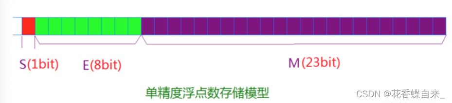 【C语言】数据的存储