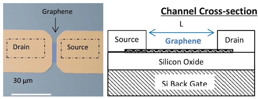 ▲ 图2.1 石墨烯场效应管结构图片来自于 BGT Materials