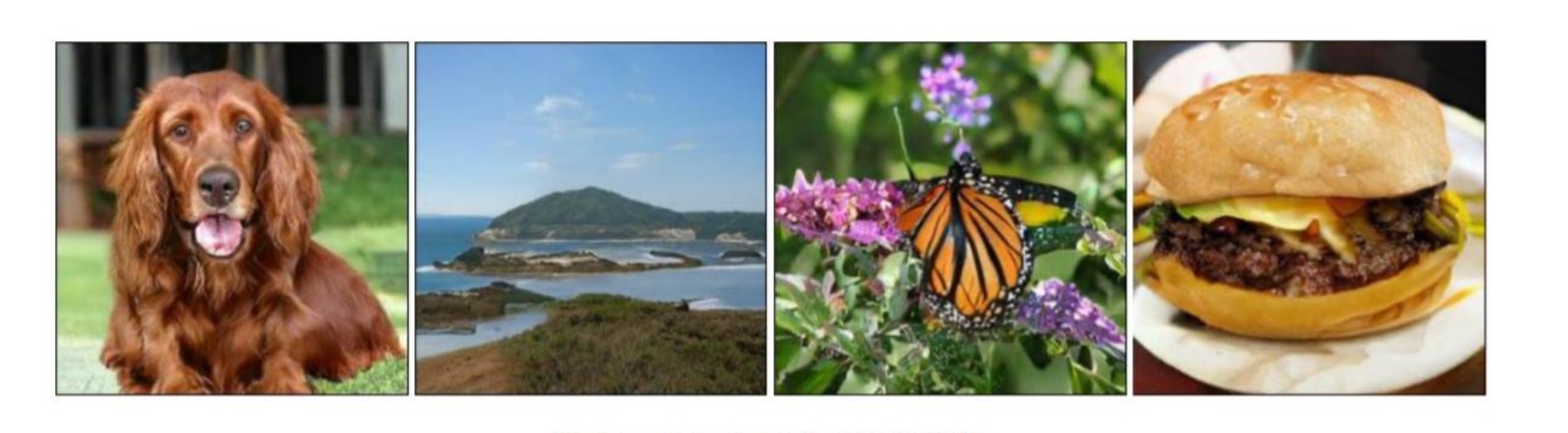 GAN变种介绍 - DCGAN、InfoGAN、CycleGAN、WGAN、Self-Attention GAN、BigGAN