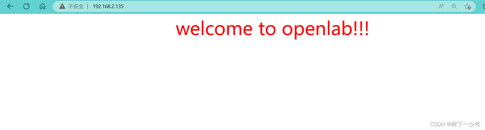 Linux搭建web网站服务练习，基于IP/端口/域名访问网站，搭建虚拟用户控制的网站，配置https加密访问