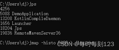 jps命令查看当前运行的java进程