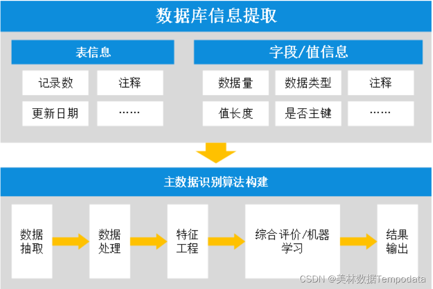 master data management