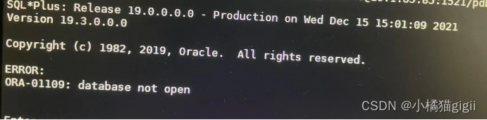 Oracle ORA-12541的处理