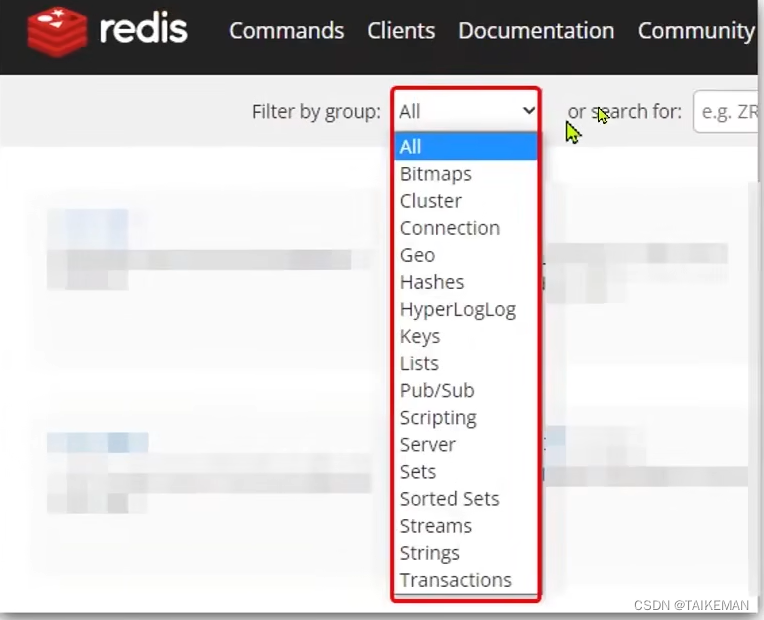 redis-csdn