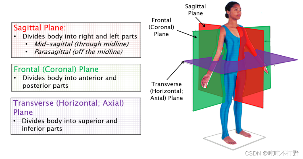 医学影像入门知识1坐标轴方向