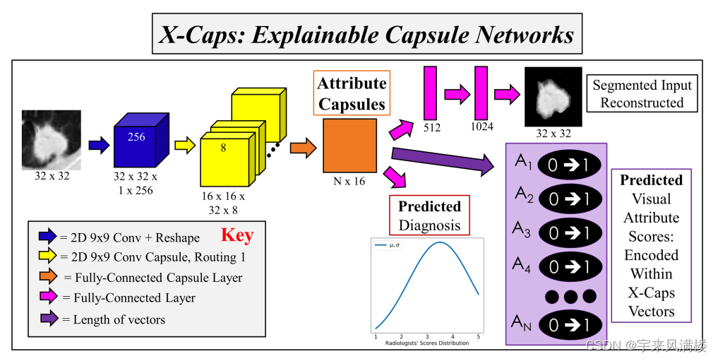 X-Caps