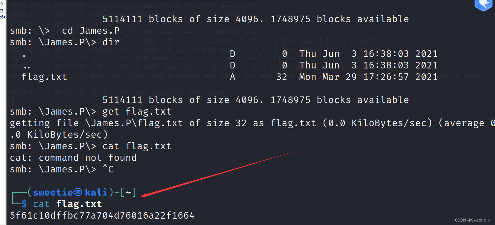 hack-the-box-dancing-what-does-the-3-letter-acronym-smb-stand-for