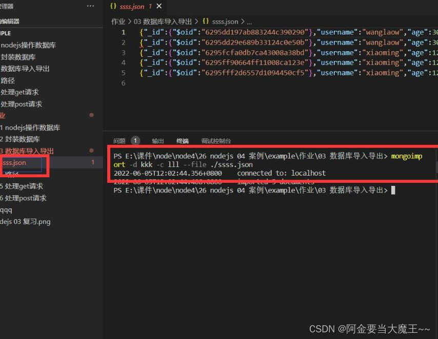 （2）数据库mongodb 终端 和 vscode创建数据库 数据导入导出