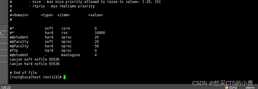 （一）Linux 环境下搭建 ElasticSearch （CentOS 7）