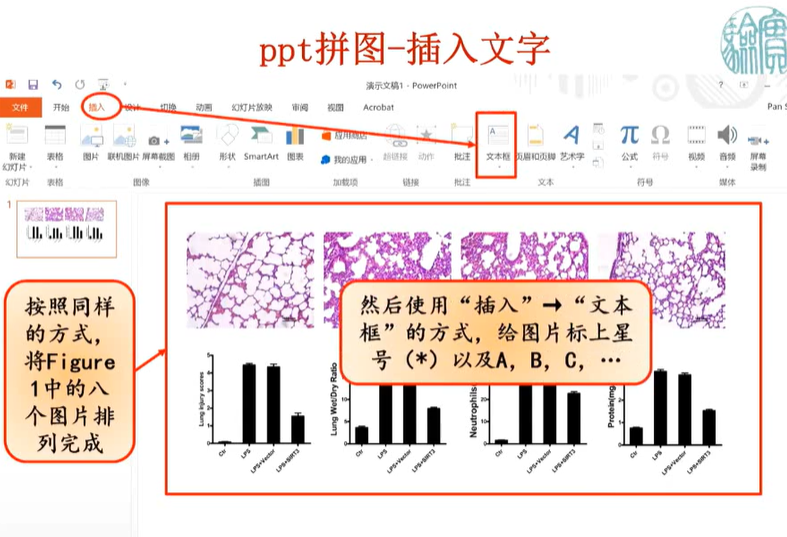 论文图片像素要求图片