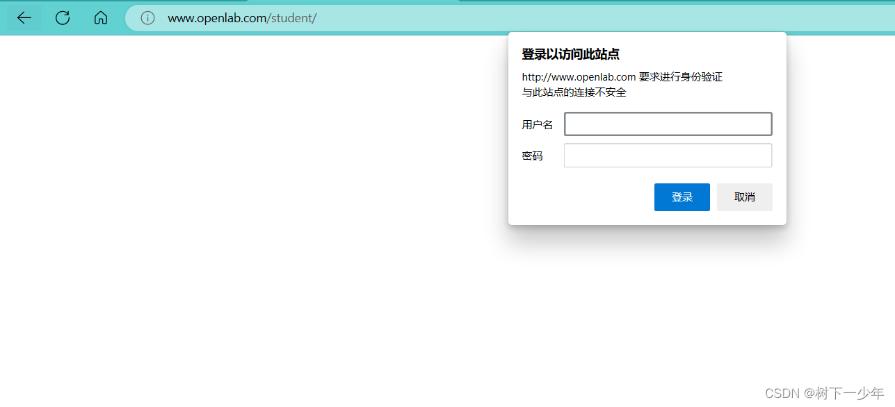 Linux搭建web网站服务练习，基于IP/端口/域名访问网站，搭建虚拟用户控制的网站，配置https加密访问