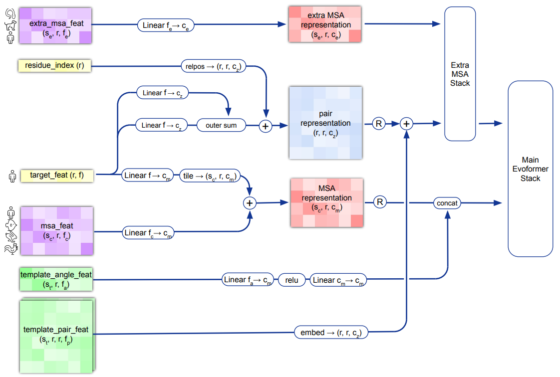 Input feature embeddings.