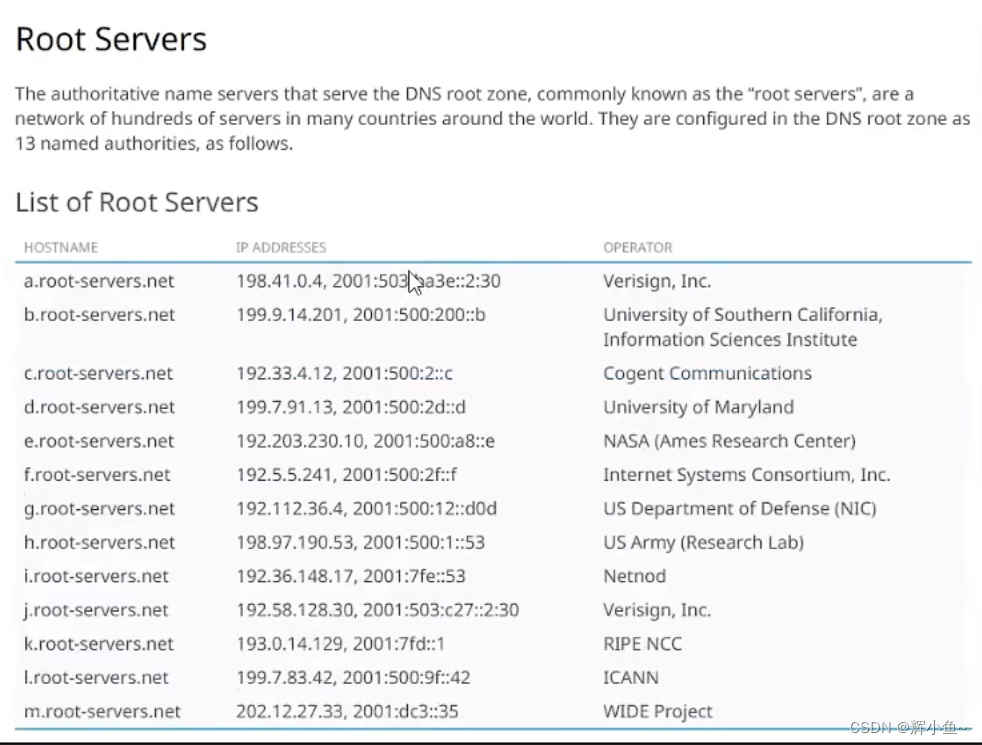 DNS Root Server 