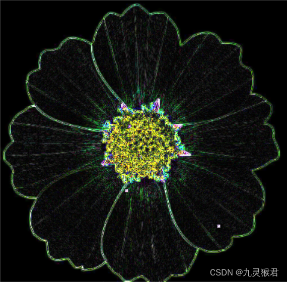 day9 - 对花朵图像进行边缘检测