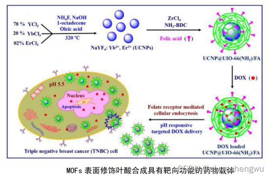 叶酸修饰UiO-66-NH2负载阿霉素DOX@UiO-66-NH2-FA纳米粒子（mof药物载体）