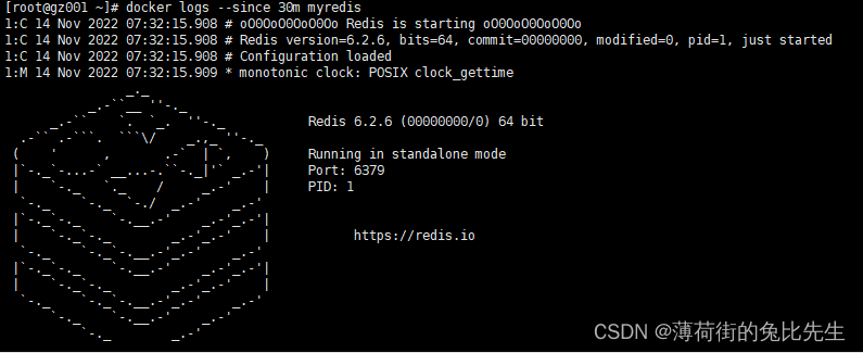 Docker安装Redis