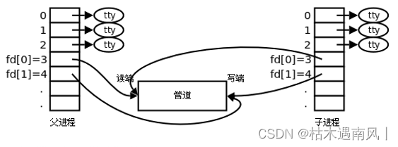 day11 有名管道和无名管道