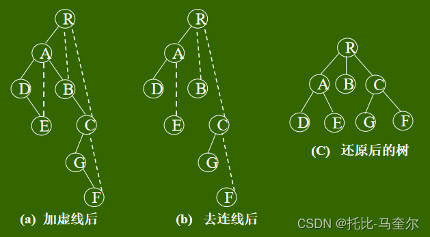 树和森林及哈夫曼树