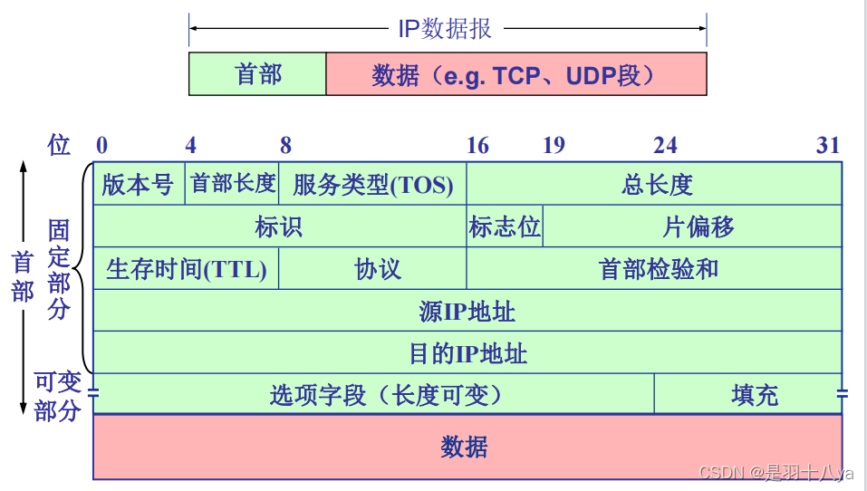计算机网络——网络层要点总结