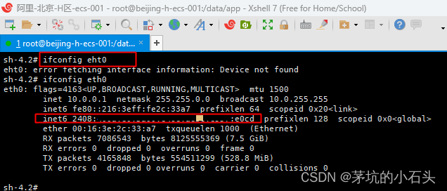 阿里云配置ECS实例的IPv6地址，开通公网IPv6