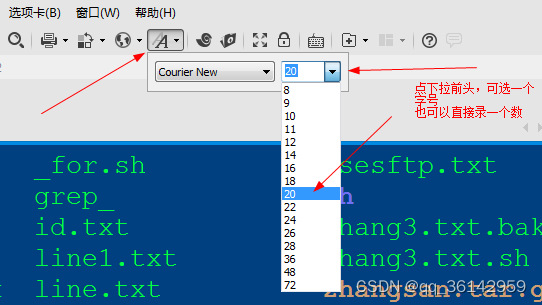 xshell远程连接网络及属性设置