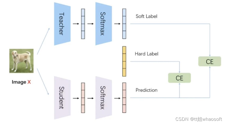 SoftLabel