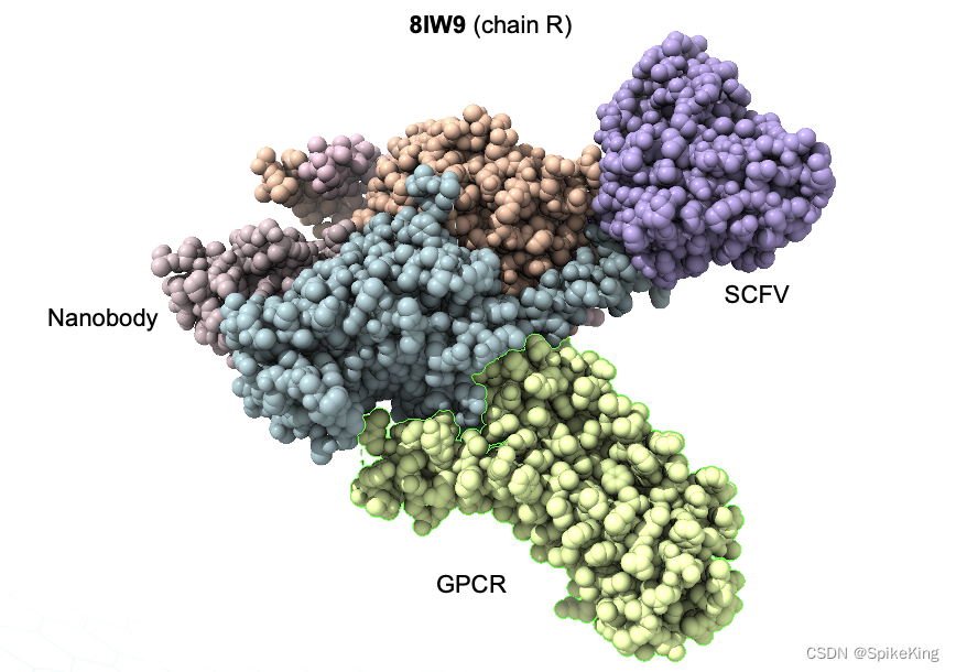 GPCR