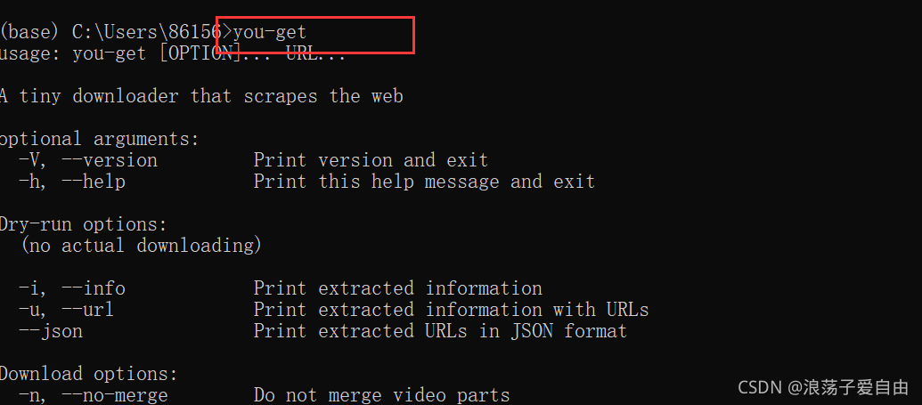 【Python】非常优秀的网站视频下载工具:You-Get_you-get下载视频python-CSDN博客