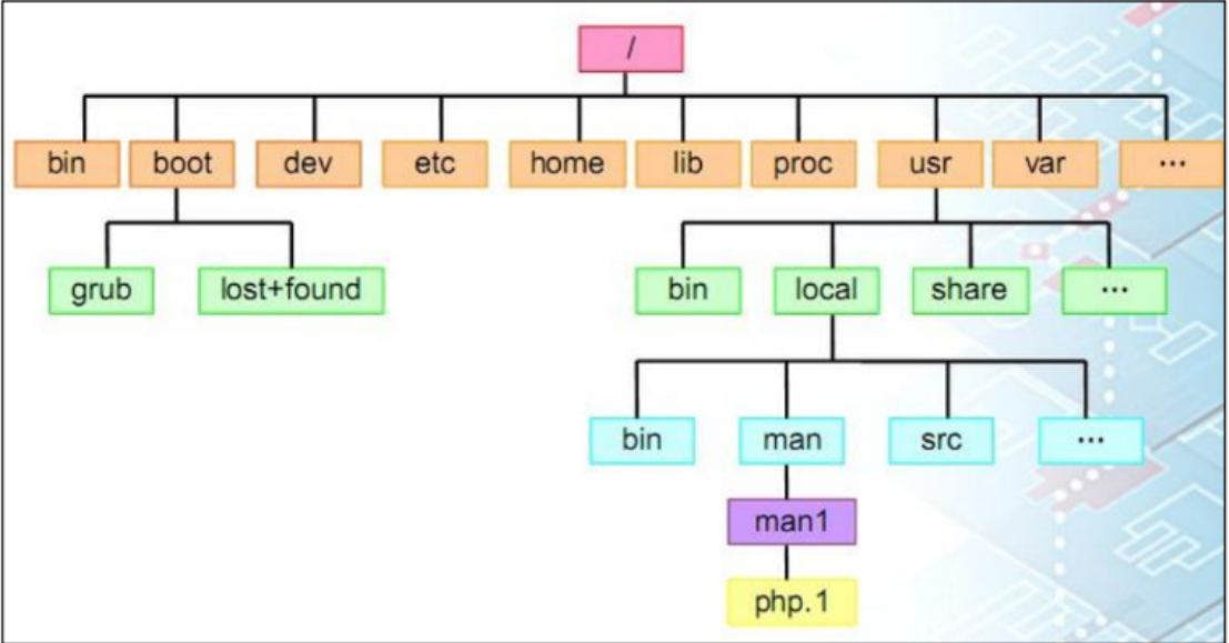 Linux文件目录结构