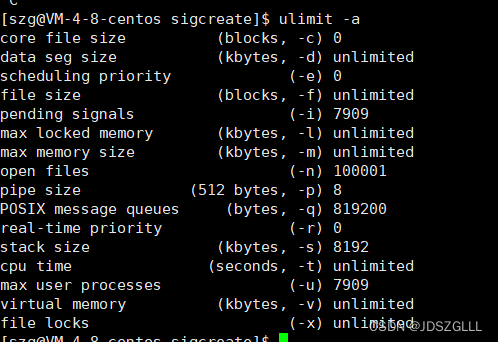 Linux：进程信号