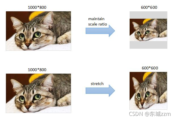 图1 是否保持宽高比