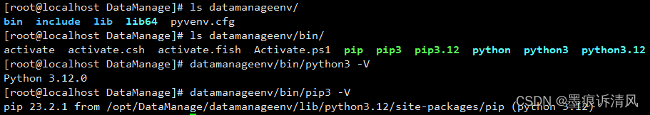 Linux 离线安装最新Python(3.12)设置独立virtualenv(venv)环境