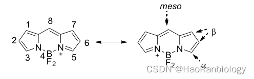 BODIPY-吡咯类荧光染料的两种合成方法，性质和应用