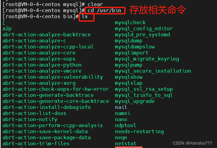 MySQL的数据目录
