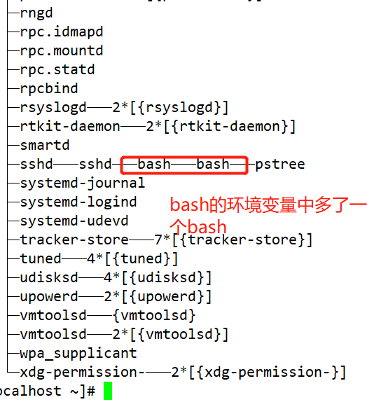 Shell脚本基础编程规范与变量 小小白闯关的博客 Csdn博客
