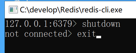 Redis - 启动