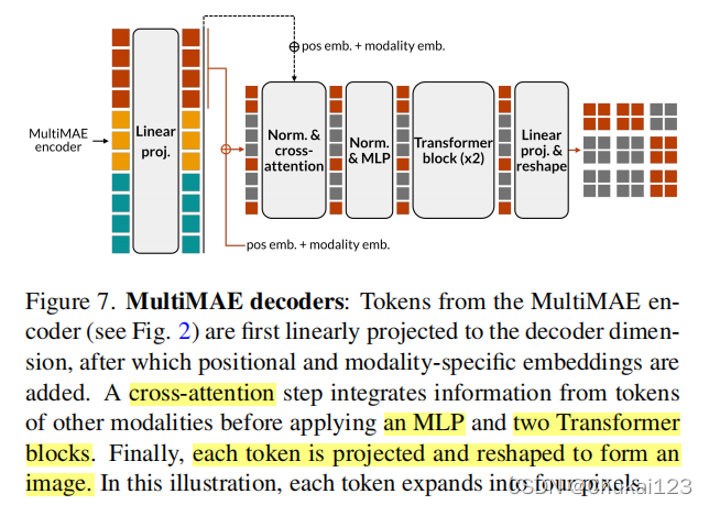 MultiMAE:多模式多任务掩码自编码器-CSDN博客