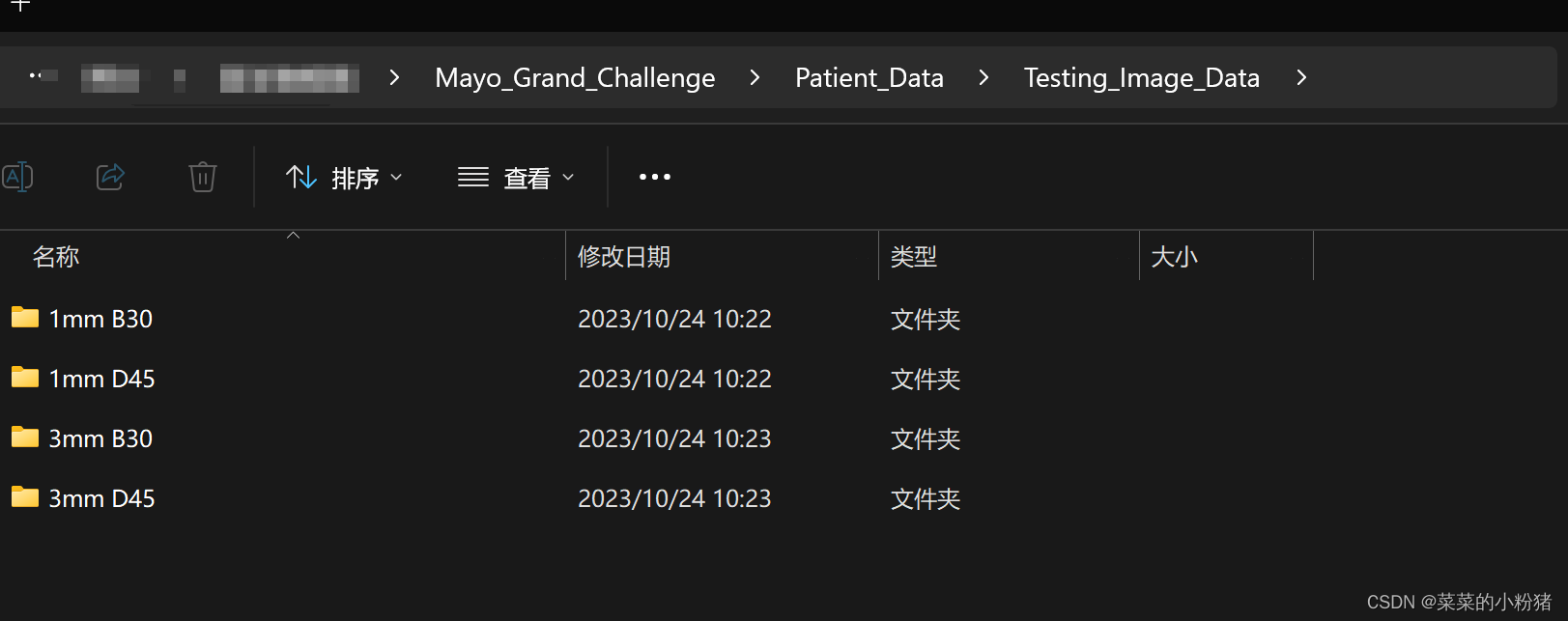 医学去噪数据集：Mayo_Grand_Challenge，百度云下载