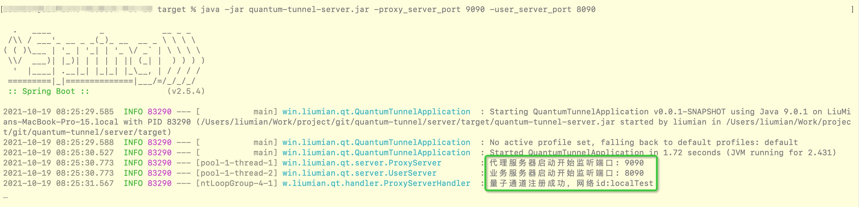 QuantumTunnel v0.1-beta 发布，内网穿透工具