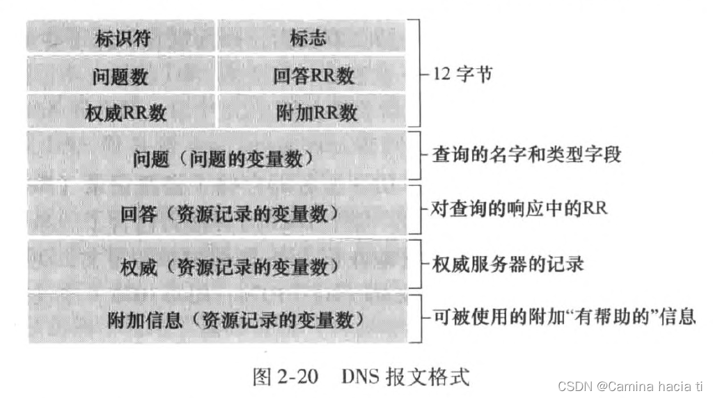 DNS报文格式