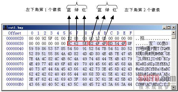 位图图像文件格式图片