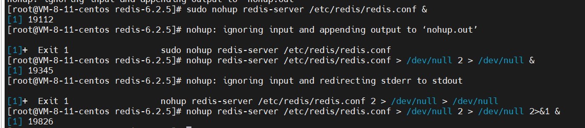 nohup-ignoring-input-and-appending-output-to-nohup-out-nohup